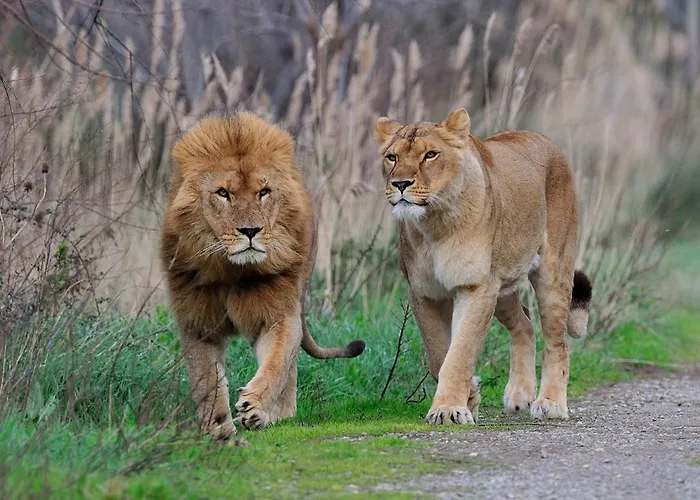 La Barbacane Casa de hóspedes
